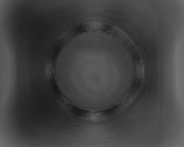 X0000100900701200806241252