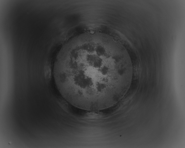 X0000100900703200806241252