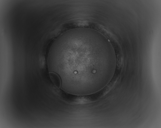 X0000100900704200806241252