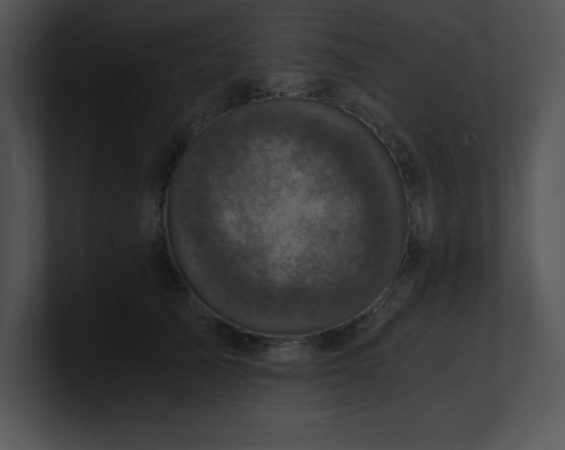X0000100900705200806241252
