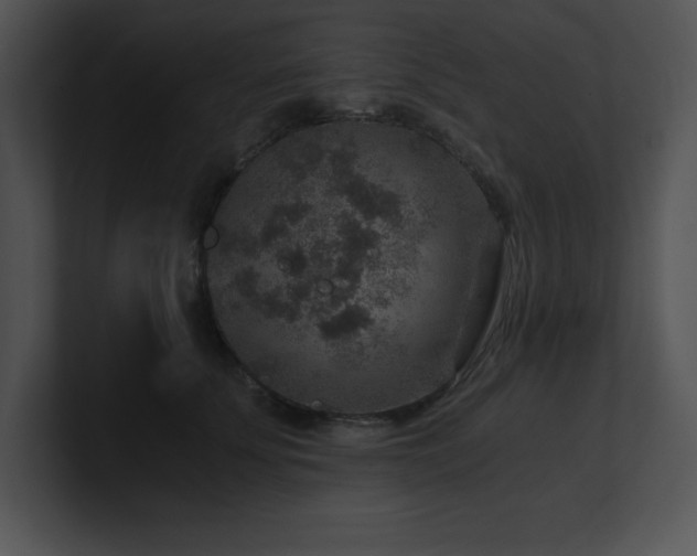 X0000100900707200806241252