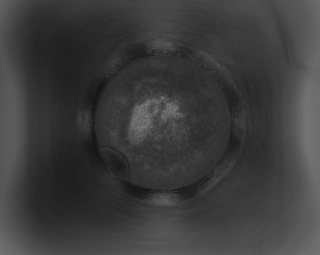 X0000100900708200806241252