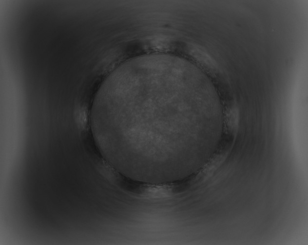 X0000100900709200806241252