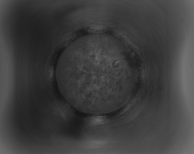X0000100900711200806241252