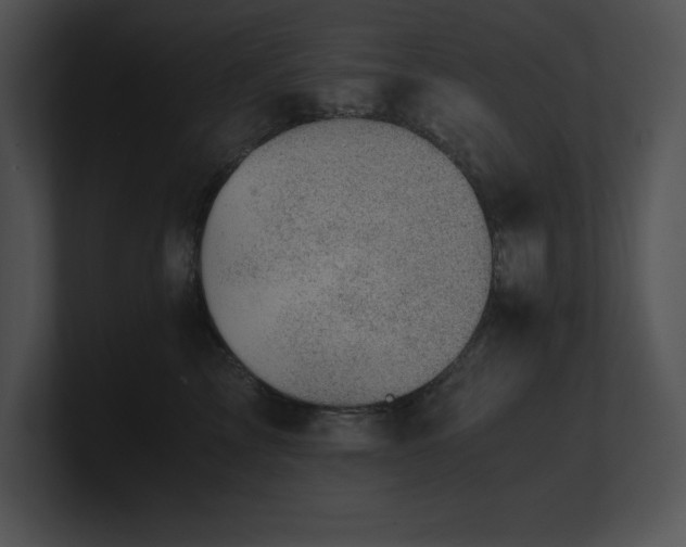 X0000100900713200806241252