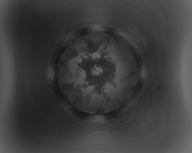 X0000100900715200806241252