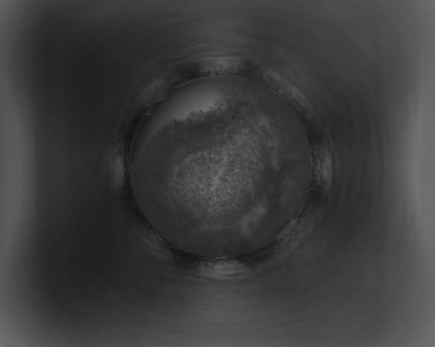 X0000100900716200806241252