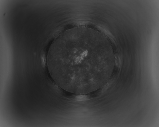 X0000100900718200806241252