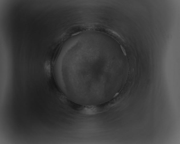 X0000100900720200806241252