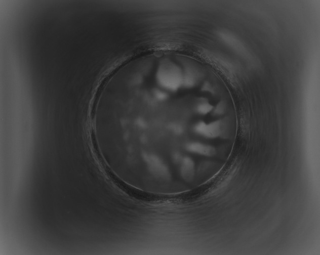 X0000100900721200806241251