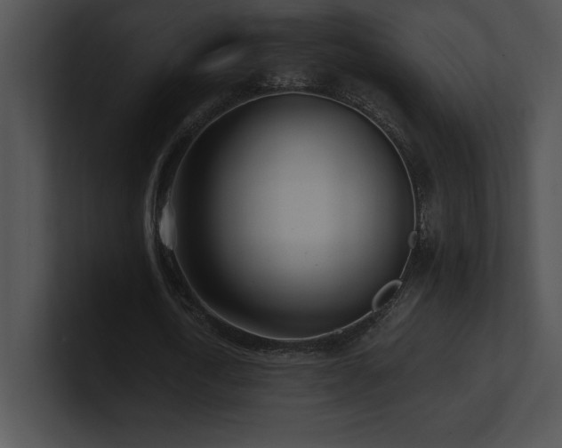 X0000100900722200806241251
