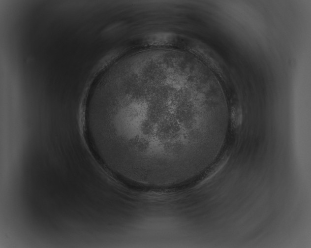 X0000100900725200806241251