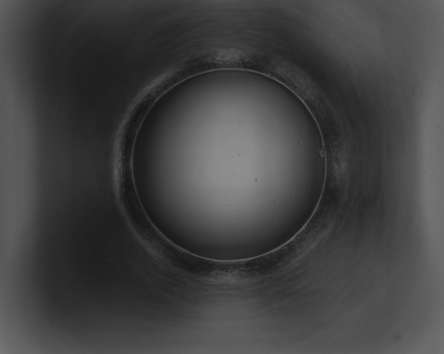 X0000100900728200806241251