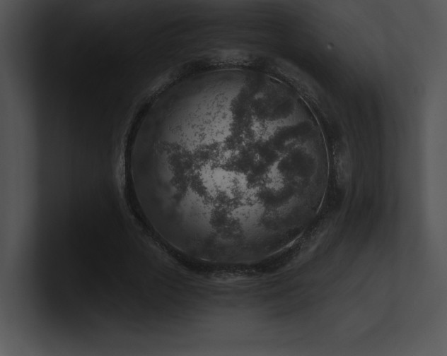 X0000100900729200806241251