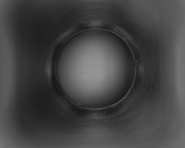 X0000100900732200806241251