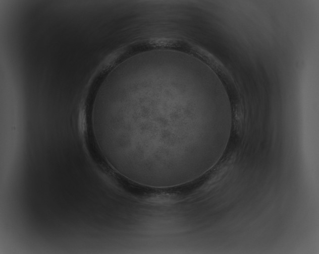 X0000100900734200806241251