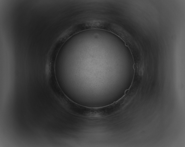 X0000100900735200806241251