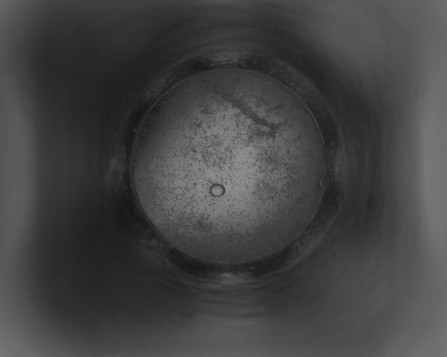 X0000100900737200806241251