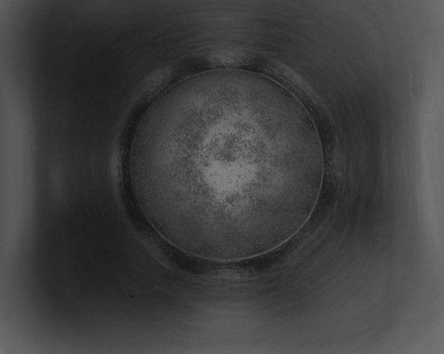 X0000100900738200806241251