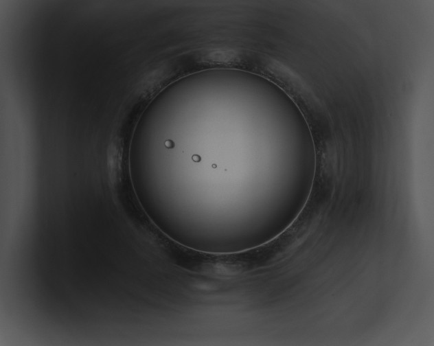 X0000100900739200806241252