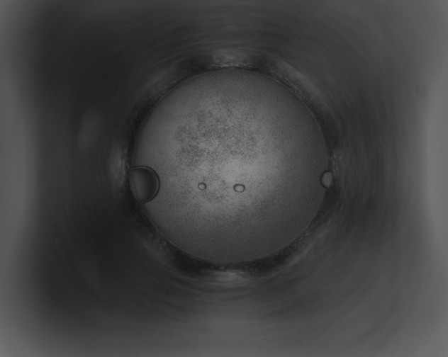 X0000100900741200806241252