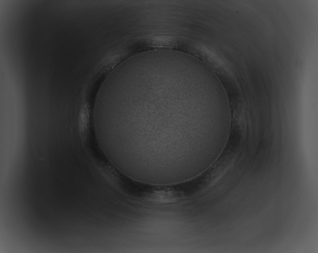 X0000100900744200806241252