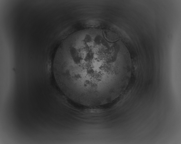 X0000100900745200806241252