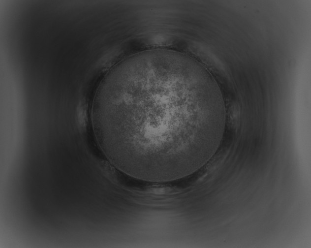 X0000100900746200806241252
