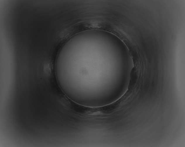 X0000100900747200806241252