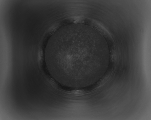 X0000100900748200806241252