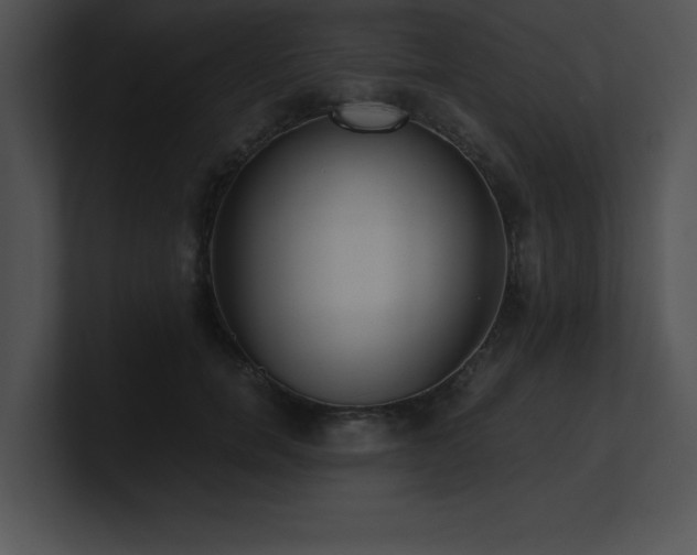 X0000100900750200806241252