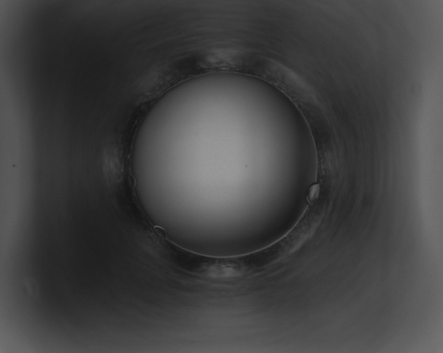 X0000100900751200806241252