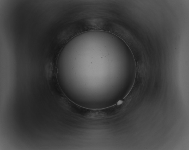 X0000100900752200806241252