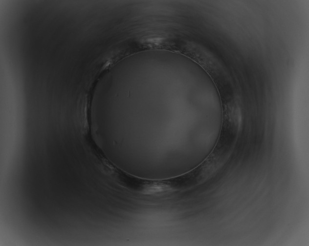 X0000100900754200806241252