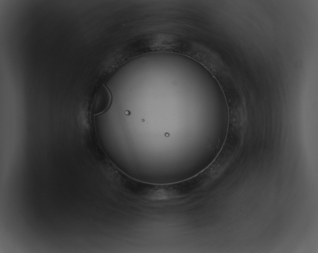 X0000100900755200806241252