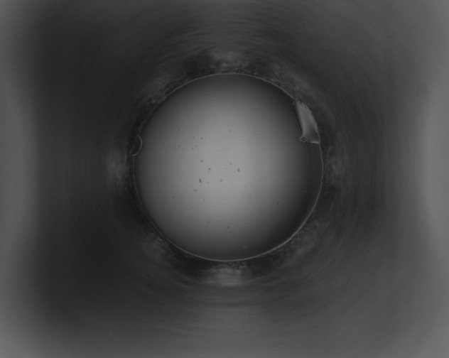 X0000100900756200806241252