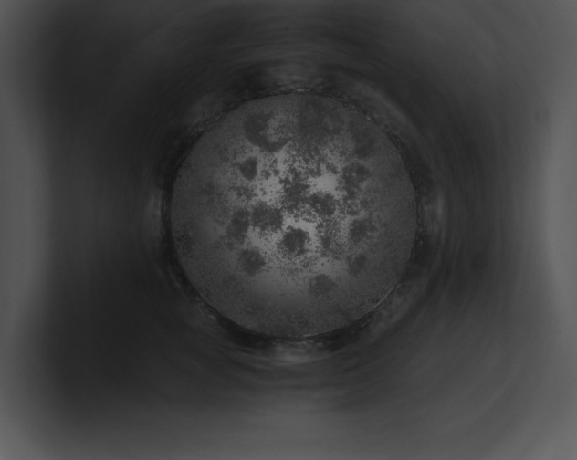 X0000100900757200806241252
