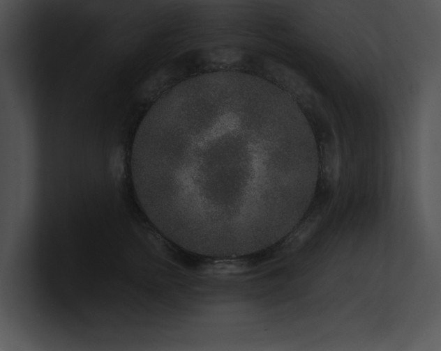 X0000100900758200806241252