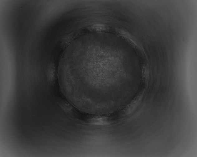 X0000100900760200806241252