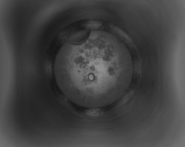 X0000100900761200806241252