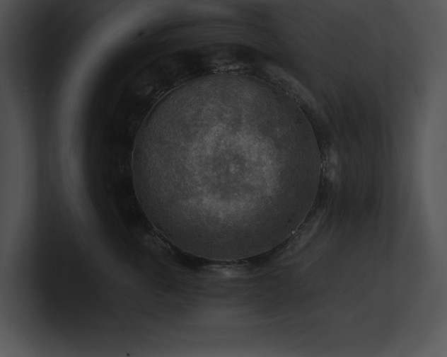 X0000100900763200806241252