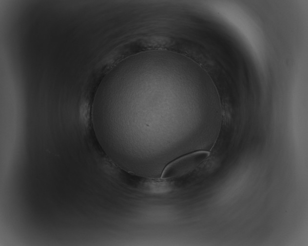 X0000100900767200806241252