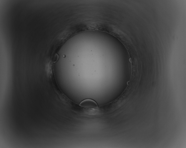 X0000100900768200806241252