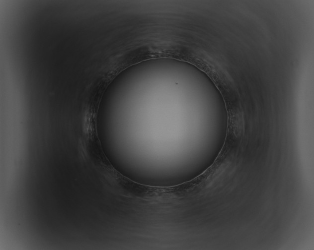 X0000100900770200806241251