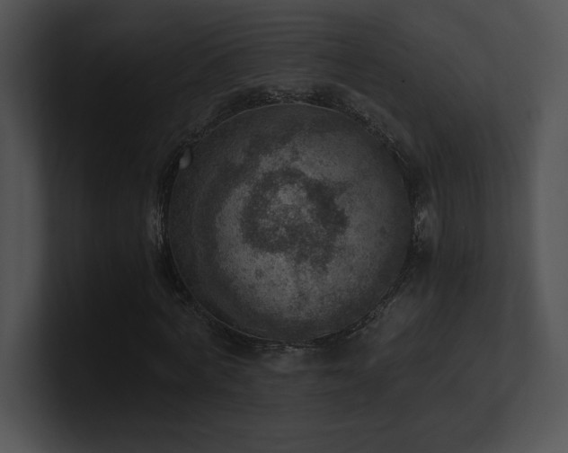 X0000100900772200806241251