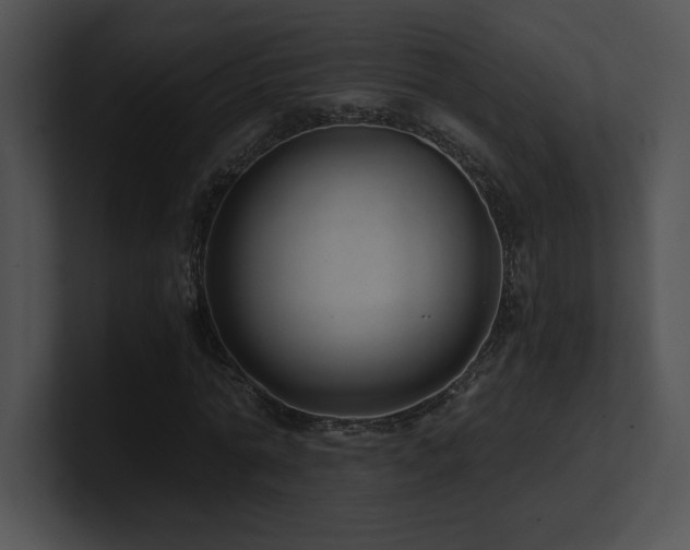 X0000100900774200806241251