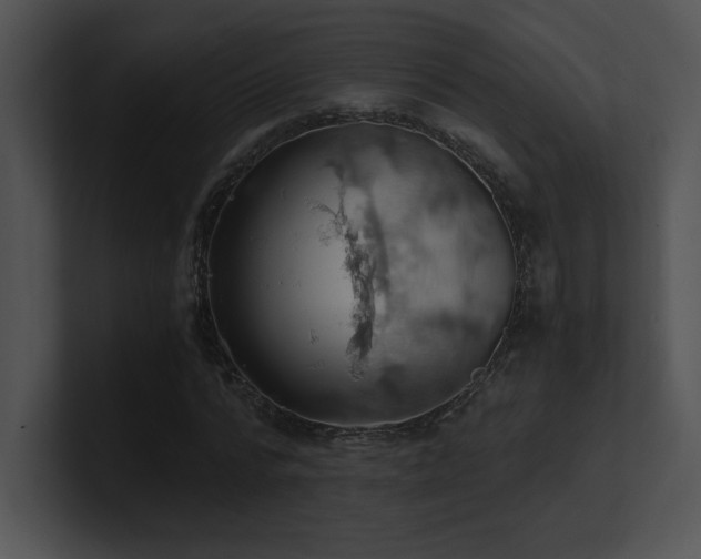 X0000100900776200806241251