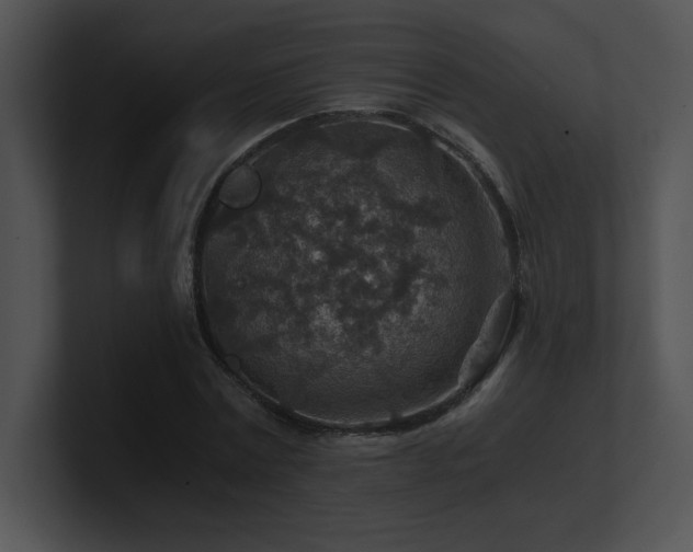 X0000100900779200806241251