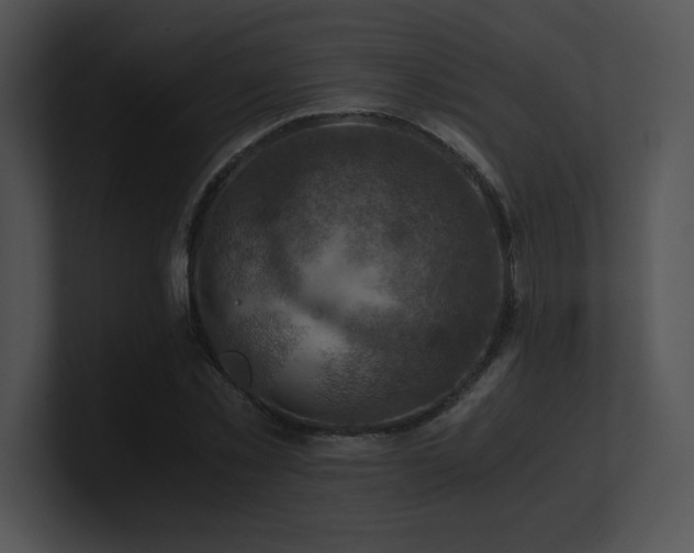 X0000100900781200806241251