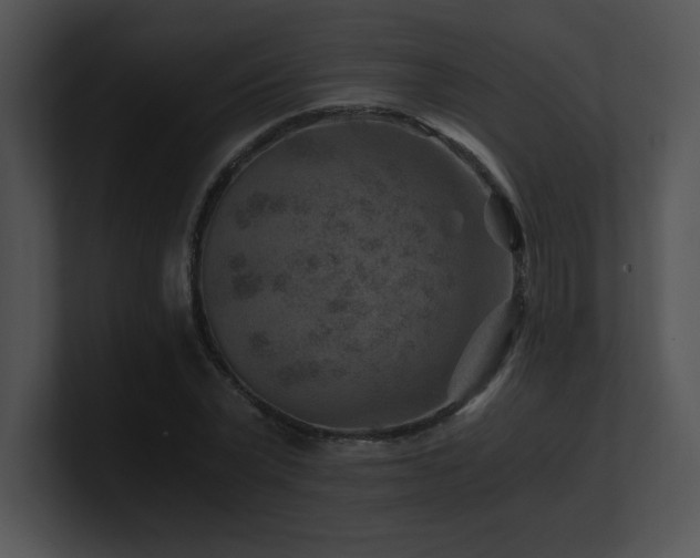 X0000100900783200806241251